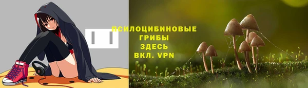 марки lsd Белокуриха