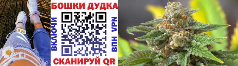 Канабис конопля  Павловск 